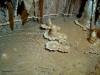 Grotta delle margherite