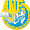 anf logo