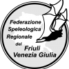 fsrfvg logo