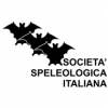 ssi logo