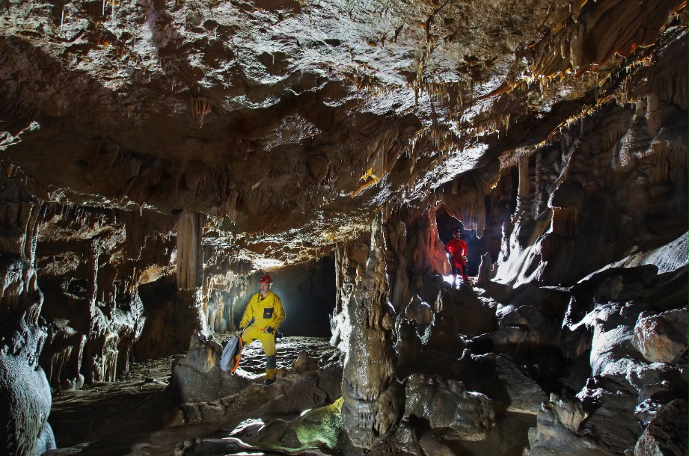 Gruppo guano nelle grotte del nostro territorio