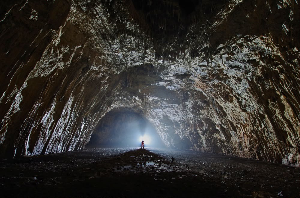 Gruppo guano nelle grotte del nostro territorio